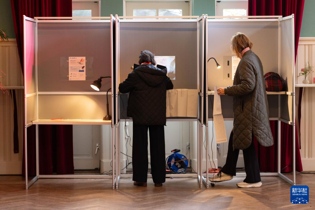 荷兰议会众议院选举投票开始