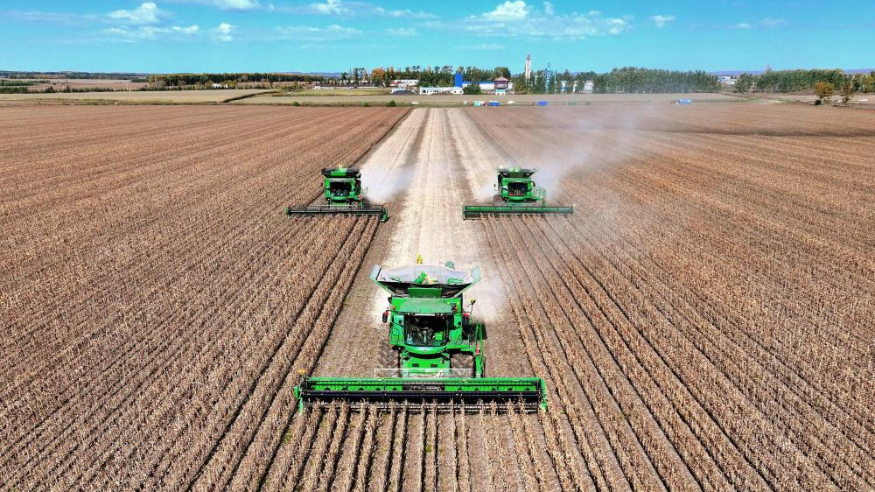 中方就南苏丹问题主张四“要”四“