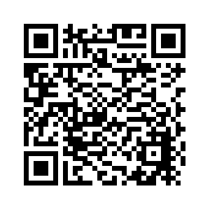 两会·外长记者会丨王毅:动荡与战争不是巴勒斯坦民众的宿命