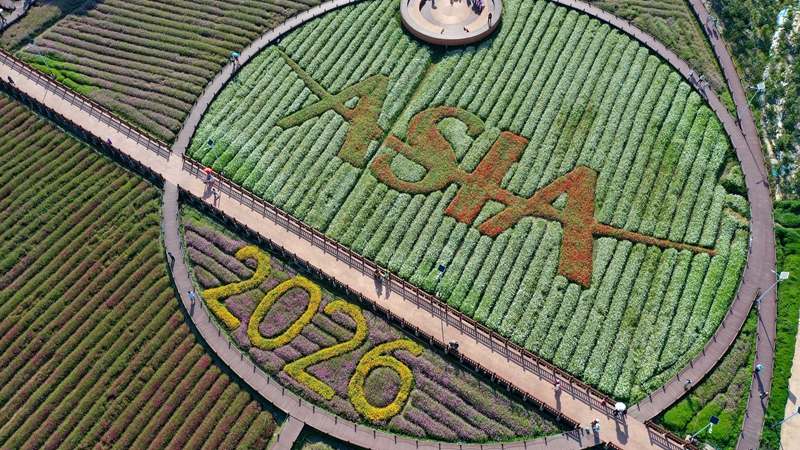 博鳌花开迎客来