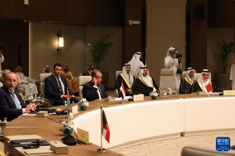 沙特举行多国部长级磋商会议