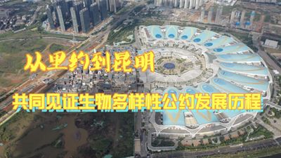 全球连线丨从里约到昆明，共同见证生物多样性公约的发展历程