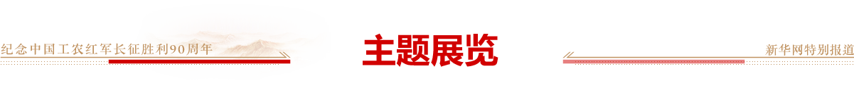 主题展览